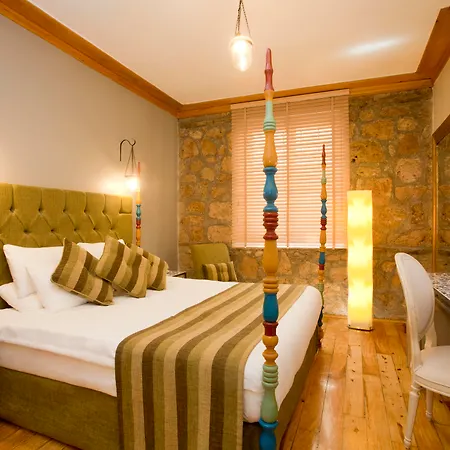 Alp Pasa - Special Class Hotel